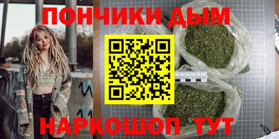 сатива Лесосибирск