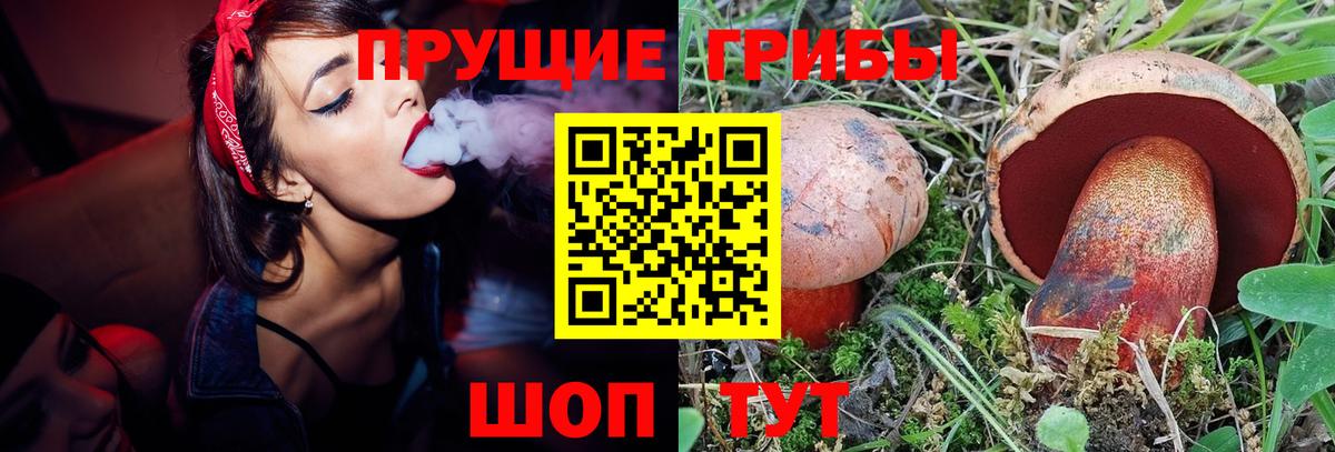 Учалы  Галлюциногенные грибы Magic Shrooms  Галлюциногенные грибы прущие грибы  Вход с VPN 